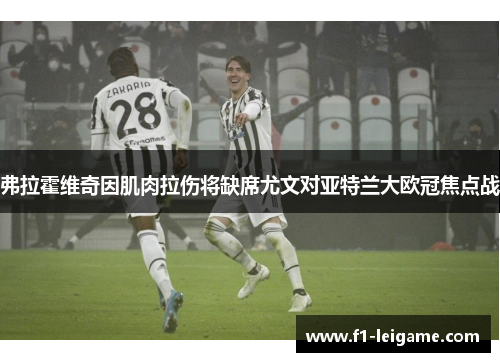 弗拉霍维奇因肌肉拉伤将缺席尤文对亚特兰大欧冠焦点战