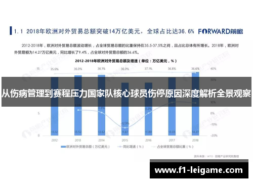 从伤病管理到赛程压力国家队核心球员伤停原因深度解析全景观察 从伤病管理到赛程压力国家队核心球员伤停原因深度解析全景观察