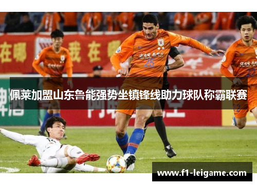 佩莱加盟山东鲁能强势坐镇锋线助力球队称霸联赛